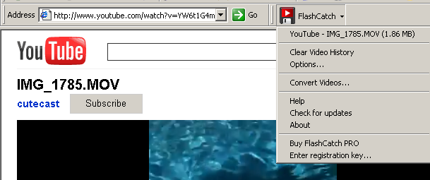 Download youtube video by flashcatch IE plugin